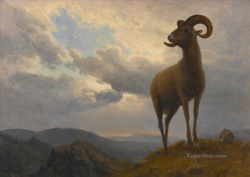 Artworks in 150 Subjects Painting - BIGHORN SHEEP American Albert Bierstadt animal